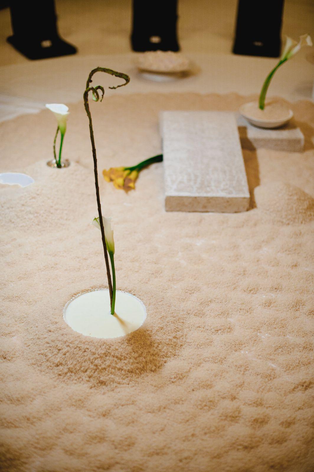 Calla lily in milk pool